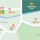 신도안면 야구장 이미지