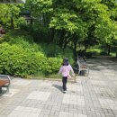 원적산공원 유아숲체험원 이미지