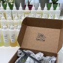 나만의 그린 인테리어 | [서면•부전동] 이색 원데이 클래스 그린핀아 (Green PinA) ❤️ 나만의 향을 디퓨저로 | 전문조향사와 함께