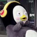 샵()라움 이미지