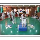 쌍호태권도장 네이버블로그