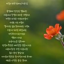 계절의 변곡점에서 이미지