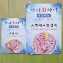 서울 방어 맛집 바다회사랑 내돈내산 후기