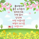 꽃길만