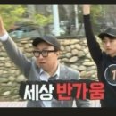 청춘유도관 이미지