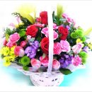 SK영월주유소 이미지