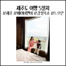 스테이느으린 이미지