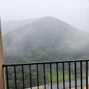 뗏꾼 | 정선 뗏꾼 공연 후기