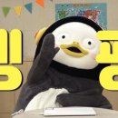 동판교로 이미지