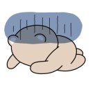 한중관 이미지
