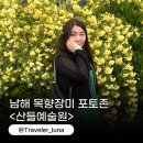 산들 강아지 | 5월 남해 가볼만한곳 산들예술원 목향장미 여행 코스 추천