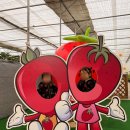 산모퉁이 | 인천 아이랑 가볼만한 곳 : '산모퉁이농원' 딸기 체험 솔직 후기 (놀이터/체험/예약팁)