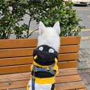 딸램들램 이미지