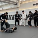 하바스MMA 압구정 이미지