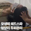 청량리31 | 청량리 두피관리 모생떼헤드스파 여름철 스컬프 케어 추천
