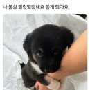 말랑말랑 이미지