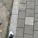 4218 | 아디다스 삼바 og 실버 메탈릭 JI4218 후기, 사이즈 팁