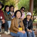 남성초교 이미지