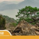 방그리우동 이미지