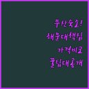 부산 여행 숙소 추천 해운대 송정 센텀 호텔 가격 시설 후기 비교