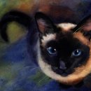 펜화 스케치 이미지