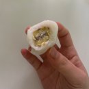 (주)댕이집밥 | 22주 임신기록,임산부일상,정밀초음파