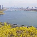 달맞이근린공원 이미지