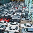 모또서비스 이미지