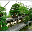 원평연합의원 이미지