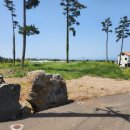 수산리-8 이미지