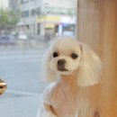 별난살롱 이미지