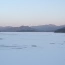 새바라기 이미지