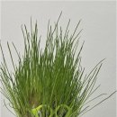 인성 행정사 사무소 이미지