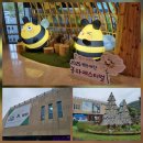 춘양로 | 꽃, 별이 그리우다!!! 봉화 자생 야생화 축제 &#34;2025년 봉자 페스티벌&#34; 관람후기