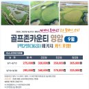 영암골프존 이미지