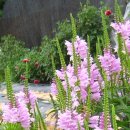 42번국도 이미지