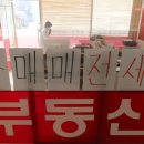 역시공인중개사사무소 이미지