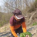 부운농장 이미지