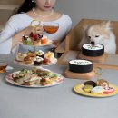 펫 치즈 클럽 이미지