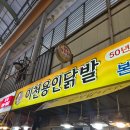 용인닭발순대 | 이천 용인닭발 택배 관고 시장 맛집 내돈내산 후기