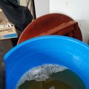 천애농장 이미지