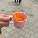 가평 실내데이트 / "가평베고니아새정원" ① 플라워존 후기 / 아이랑 가볼만한 곳