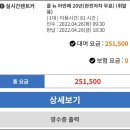 [내돈내산 여행 일기] 제주도 렌터카 예약 꿀팁 방출 &#39;제주 엔젤카&#39; 솔직 후기