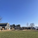 패밀리농장 | (전북특별자치도 고창군) 상하농원 파머스빌리지_패밀리룸 후기