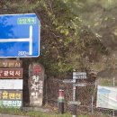 단양농협상진지점 이미지