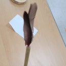 면수농장 이미지