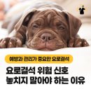 파발로151번길 이미지