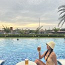 (유)전주스카이항공여행사 | 다낭 항공권 특가 20만원대 최저가 찾는법