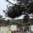 산호수별펜션 | 정읍 '로하스 캠핑장' 편의시설, D11 사이트 / 옥정호 뷰가 아름다운 곳