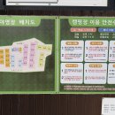 관리가 이렇게 잘 된 캠핑장? 사계 오토캠핑장 2박 3일 후기